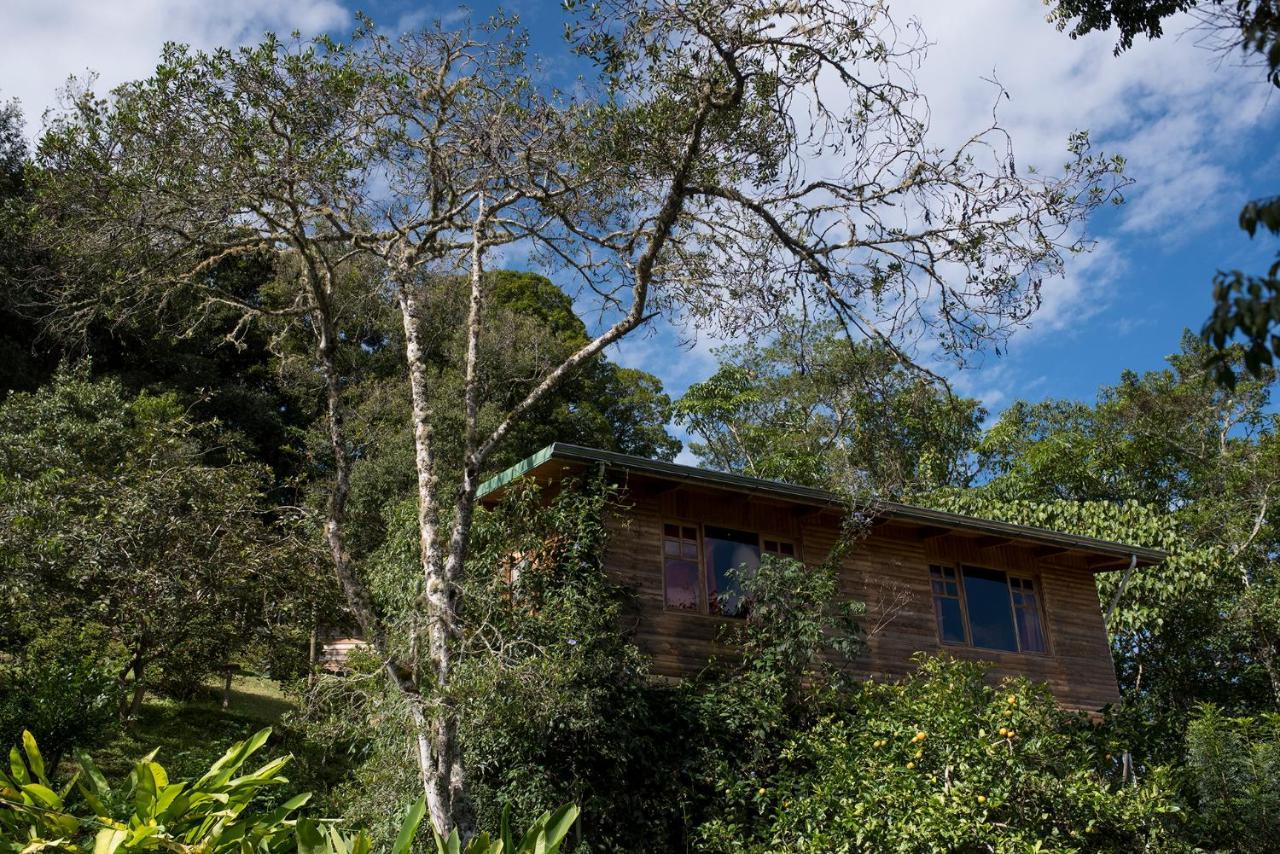 Cedrela Eco-Lodge&Restaurante Copey Exterior foto