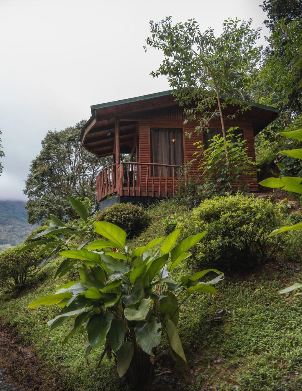 Cedrela Eco-Lodge&Restaurante Copey Exterior foto