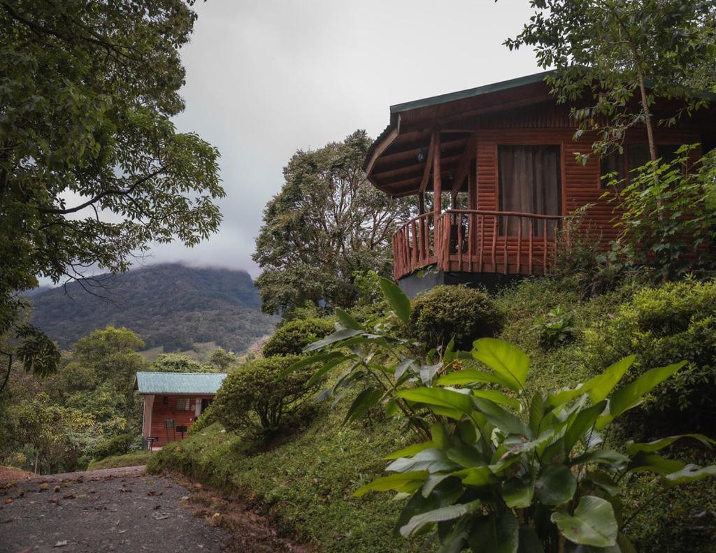 Cedrela Eco-Lodge&Restaurante Copey Exterior foto