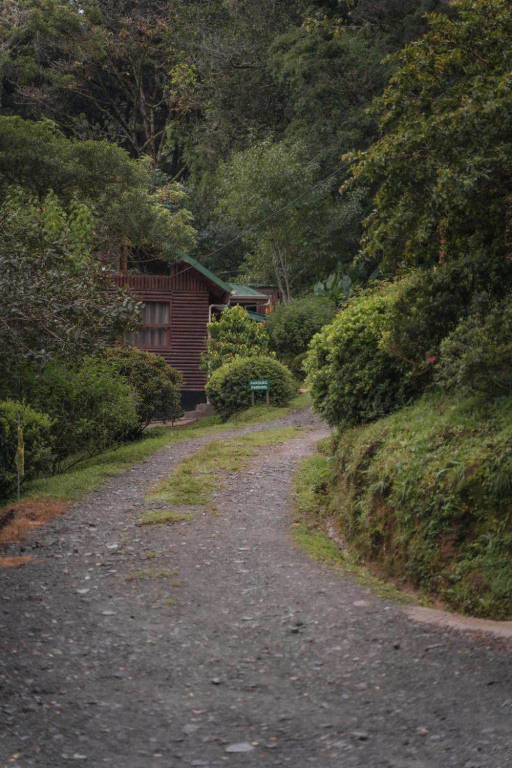 Cedrela Eco-Lodge&Restaurante Copey Exterior foto