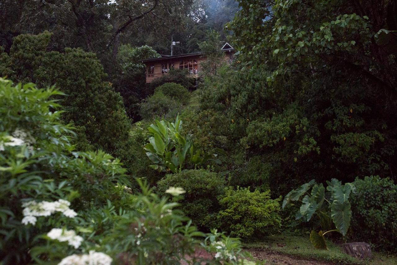 Cedrela Eco-Lodge&Restaurante Copey Exterior foto